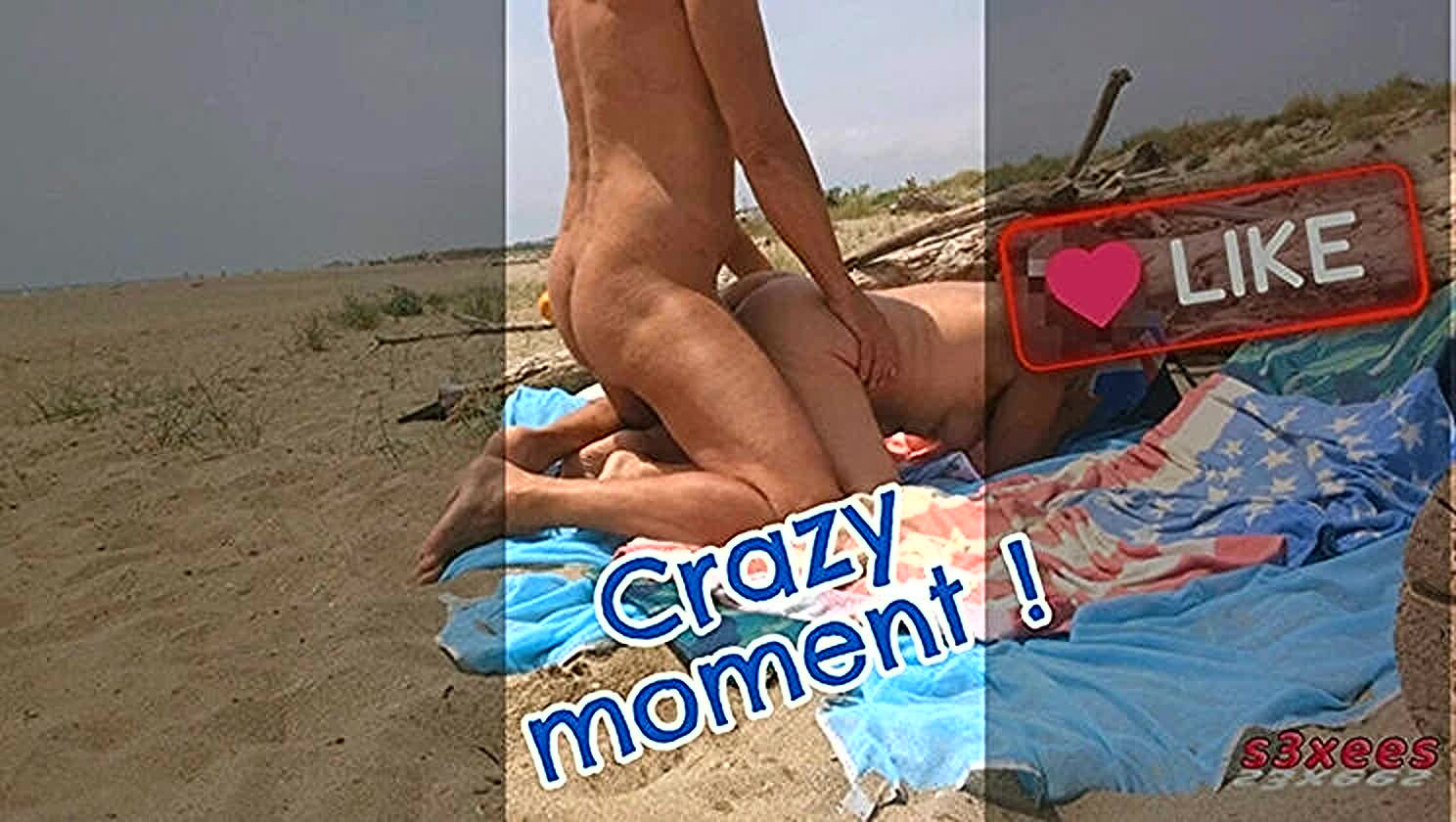 S3xees, Flashing, Exhibition, Public Sex