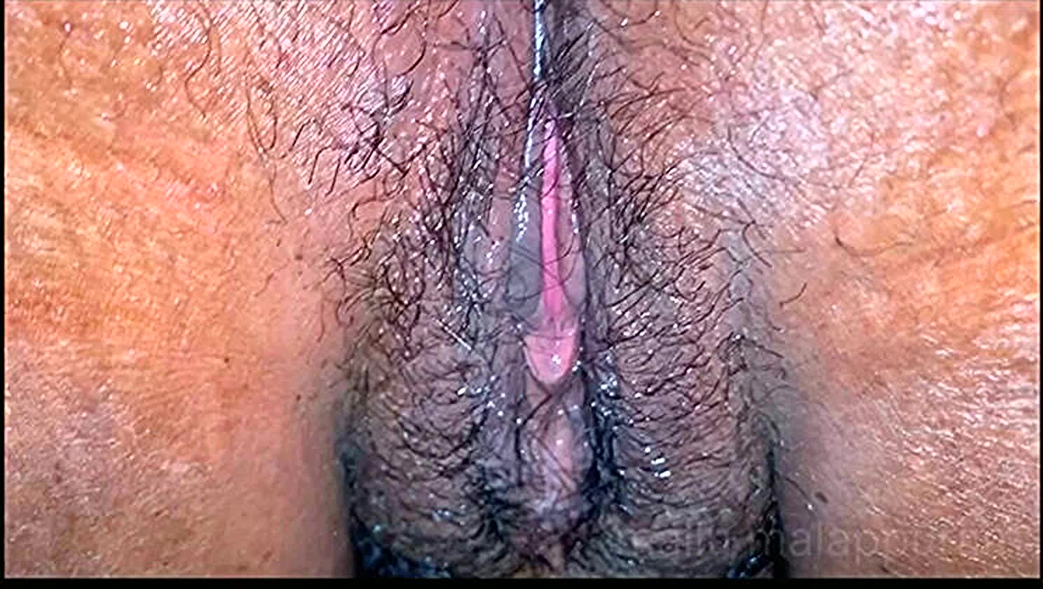 Desi Aunty