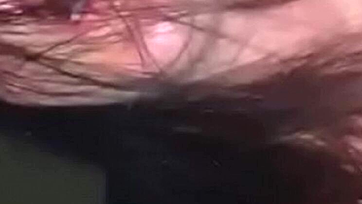 Hardcore Orgasm, Big Dick Blowjob, Pussy Pounding