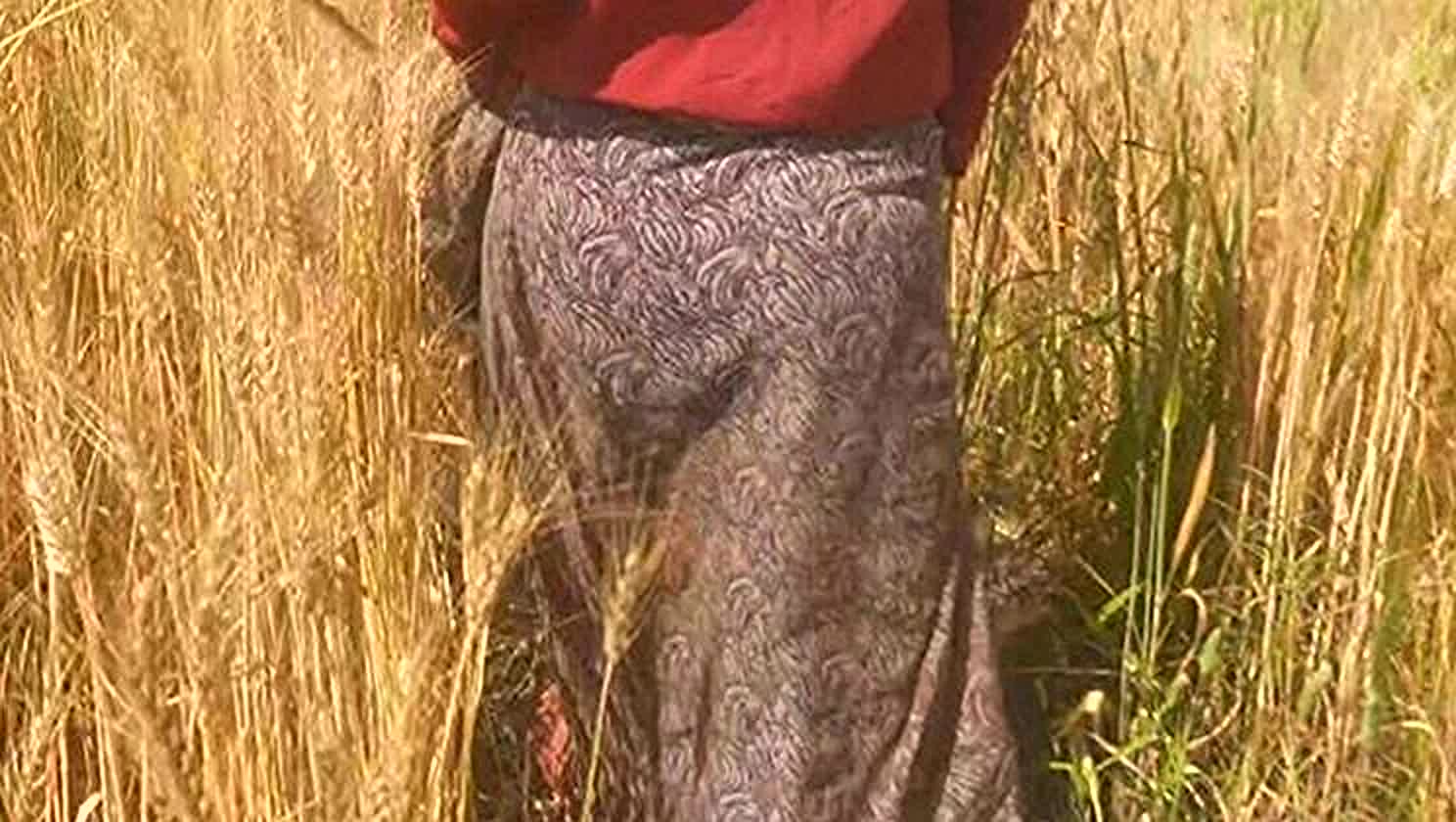 Desi Bhabhi