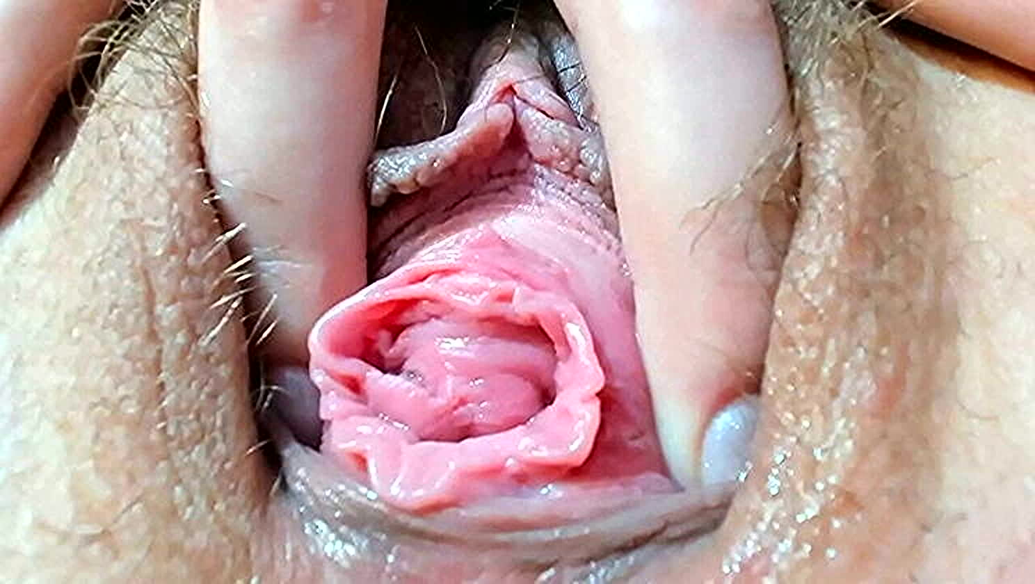 Teen Pussy, Hairy Pussy