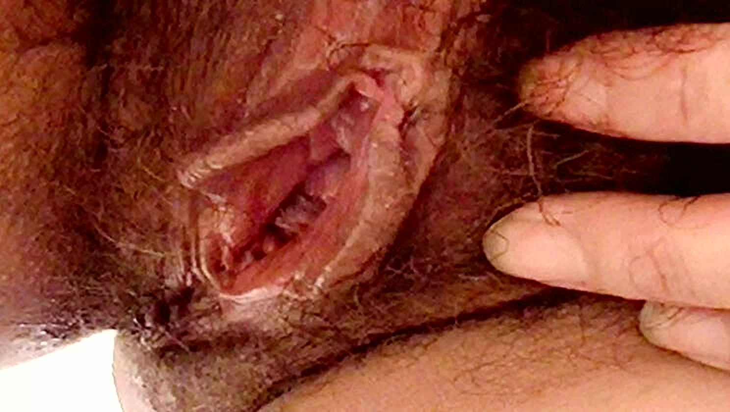 Ardientes69, Eat Pussy, Mature Slut