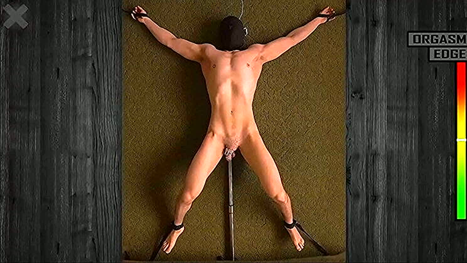 Institutionx, Sissy Slut, Pegging, Femdom