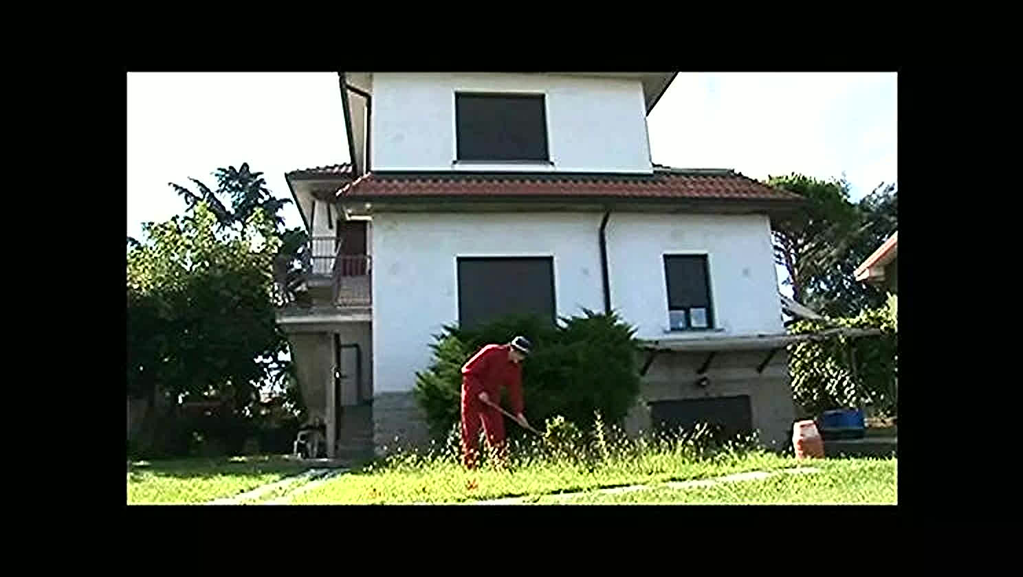 Cock Worship, Cumshot, Big Cock