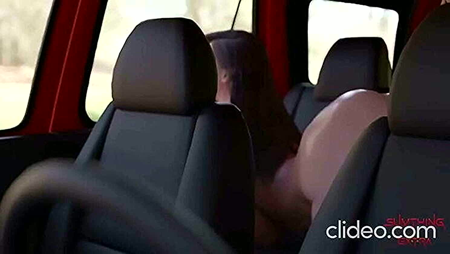 Public Sex, Backseat Bang, Ride And Pride