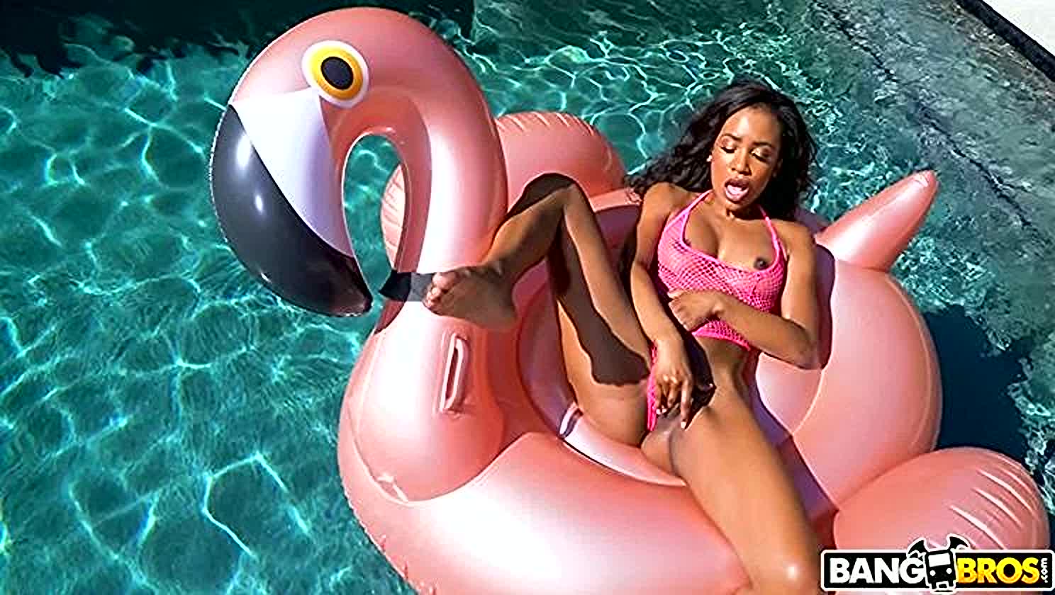 Demi Sutra, Derrick Ferrari, Brown Sugar, Cowgirl, Ebony Erotica