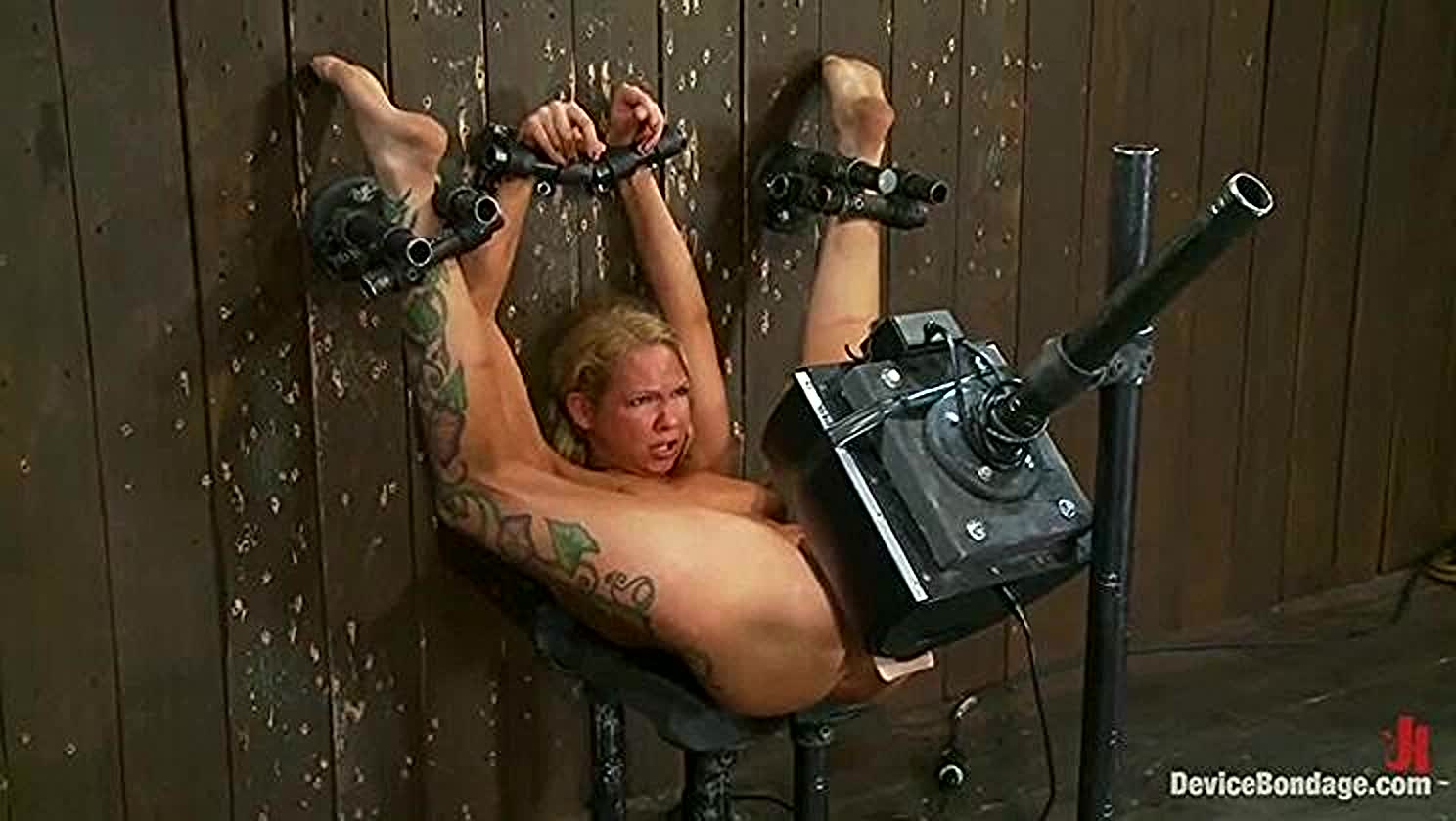 Category 5 Orgasms